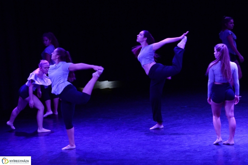 Az Állatbarát Alapítvány javára táncoltak - fotó Trifonov Éva