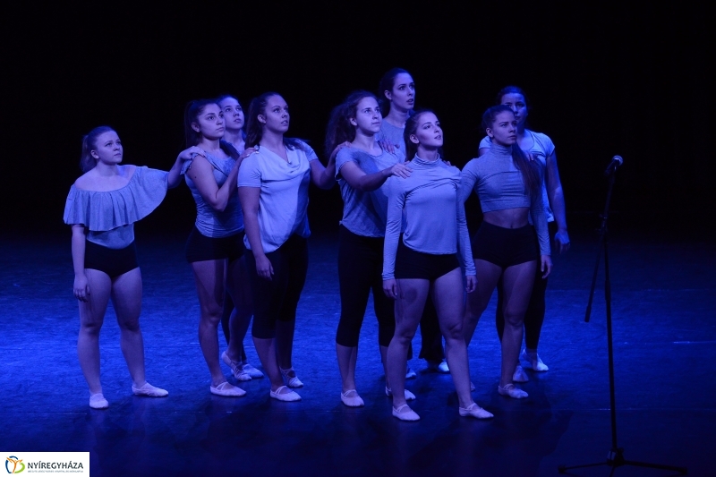 Az Állatbarát Alapítvány javára táncoltak - fotó Trifonov Éva