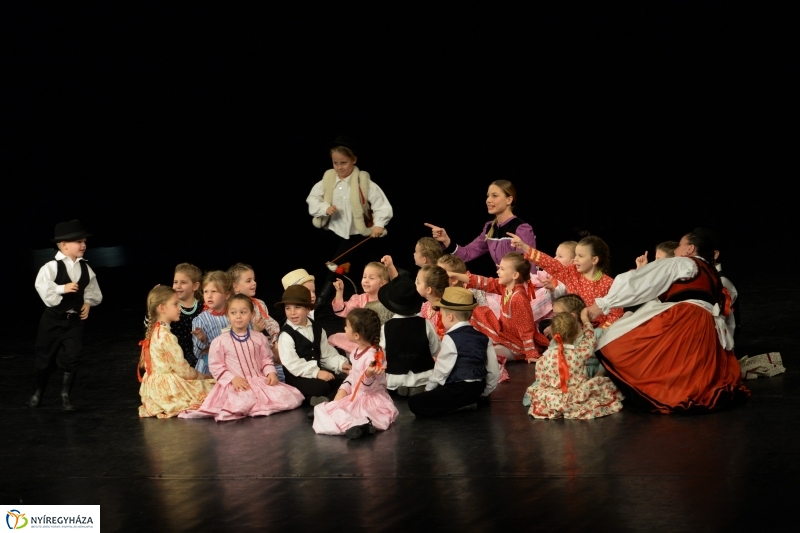 Az Állatbarát Alapítvány javára táncoltak - fotó Trifonov Éva