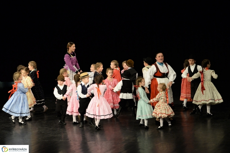 Az Állatbarát Alapítvány javára táncoltak - fotó Trifonov Éva