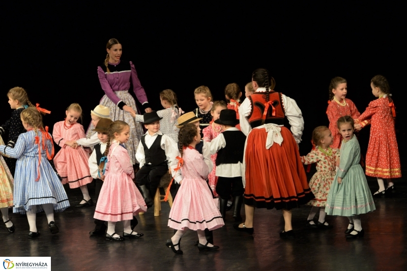 Az Állatbarát Alapítvány javára táncoltak - fotó Trifonov Éva