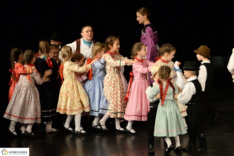 Az Állatbarát Alapítvány javára táncoltak - fotó Trifonov Éva