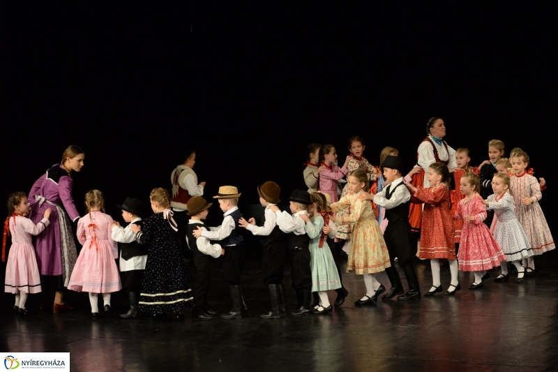 Az Állatbarát Alapítvány javára táncoltak - fotó Trifonov Éva