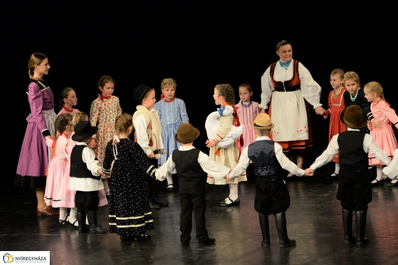 Az Állatbarát Alapítvány javára táncoltak - fotó Trifonov Éva