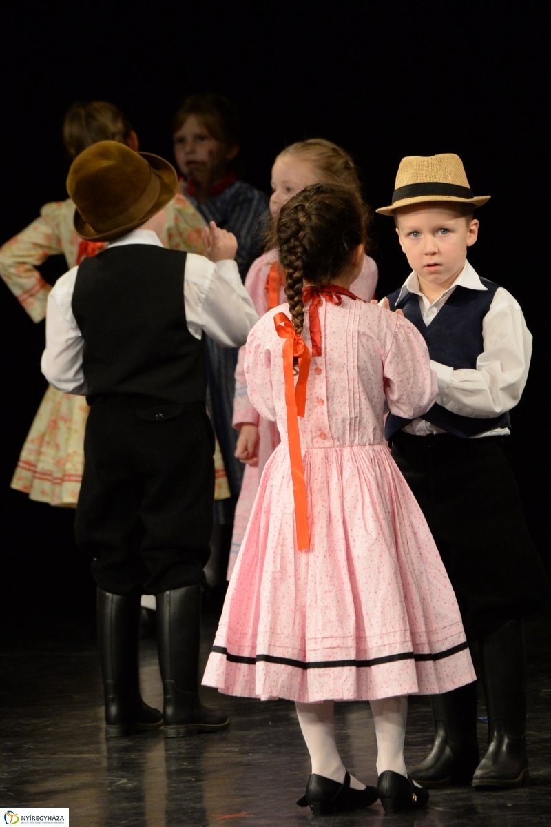 Az Állatbarát Alapítvány javára táncoltak - fotó Trifonov Éva