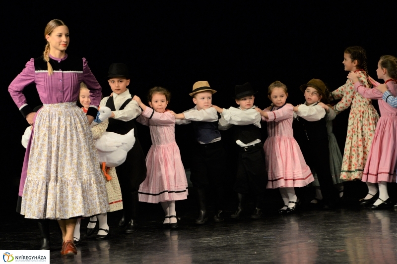 Az Állatbarát Alapítvány javára táncoltak - fotó Trifonov Éva