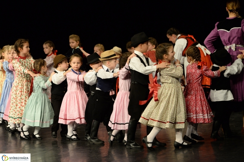 Az Állatbarát Alapítvány javára táncoltak - fotó Trifonov Éva