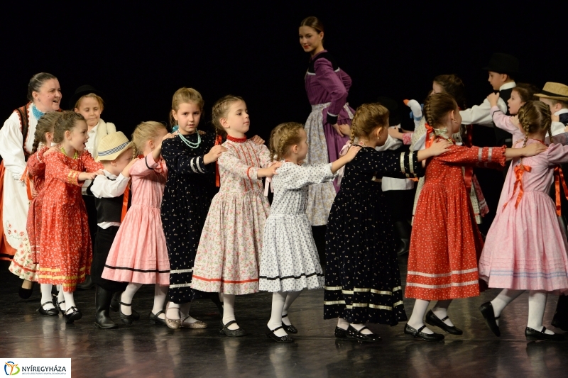 Az Állatbarát Alapítvány javára táncoltak - fotó Trifonov Éva