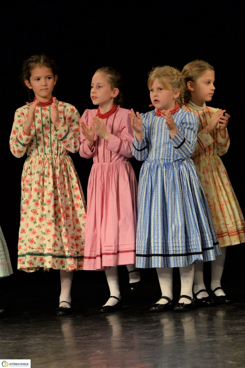 Az Állatbarát Alapítvány javára táncoltak - fotó Trifonov Éva