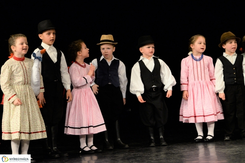 Az Állatbarát Alapítvány javára táncoltak - fotó Trifonov Éva