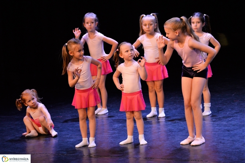 Az Állatbarát Alapítvány javára táncoltak - fotó Trifonov Éva