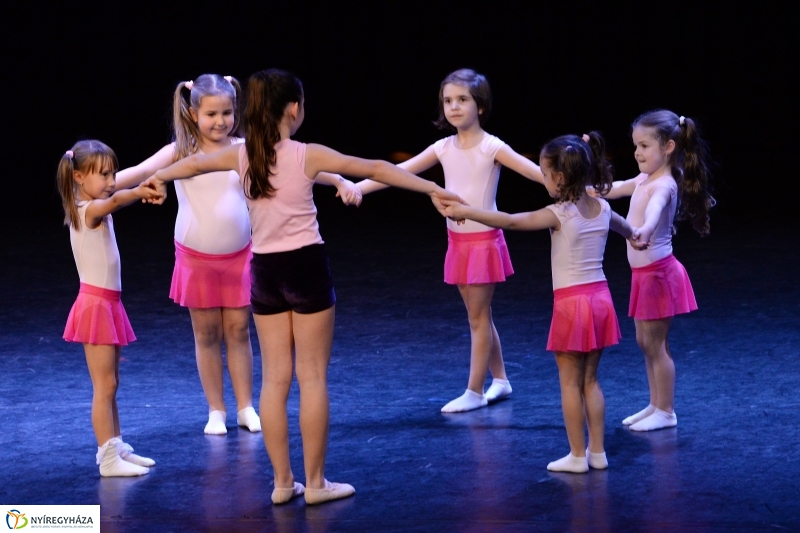 Az Állatbarát Alapítvány javára táncoltak - fotó Trifonov Éva