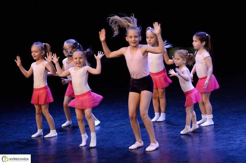 Az Állatbarát Alapítvány javára táncoltak - fotó Trifonov Éva