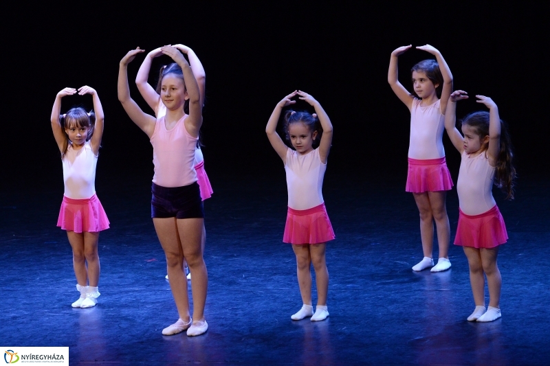 Az Állatbarát Alapítvány javára táncoltak - fotó Trifonov Éva