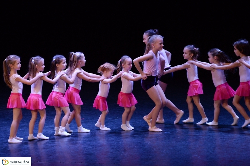 Az Állatbarát Alapítvány javára táncoltak - fotó Trifonov Éva