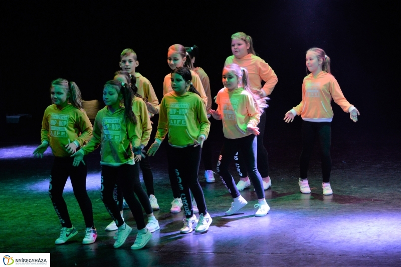 Az Állatbarát Alapítvány javára táncoltak - fotó Trifonov Éva