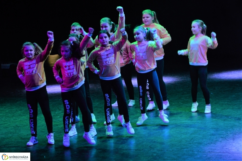 Az Állatbarát Alapítvány javára táncoltak - fotó Trifonov Éva