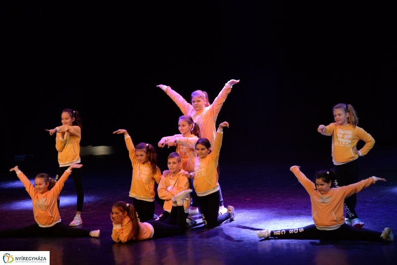 Az Állatbarát Alapítvány javára táncoltak - fotó Trifonov Éva