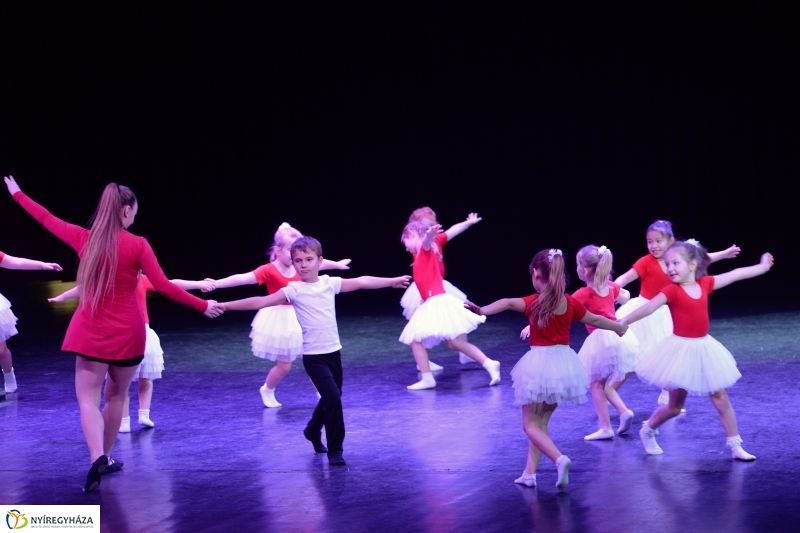 Az Állatbarát Alapítvány javára táncoltak - fotó Trifonov Éva