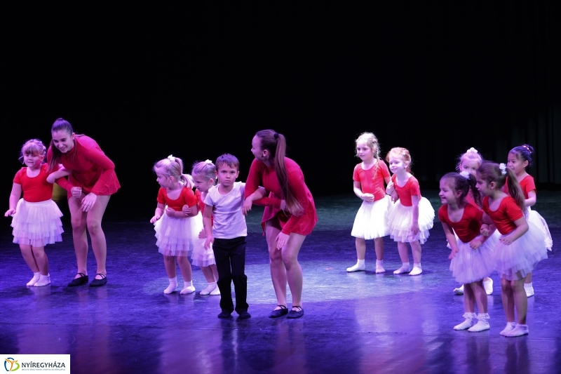 Az Állatbarát Alapítvány javára táncoltak - fotó Trifonov Éva