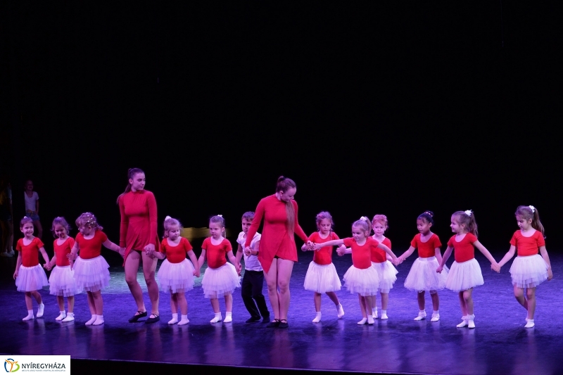 Az Állatbarát Alapítvány javára táncoltak - fotó Trifonov Éva