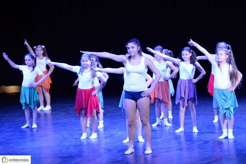 Az Állatbarát Alapítvány javára táncoltak - fotó Trifonov Éva