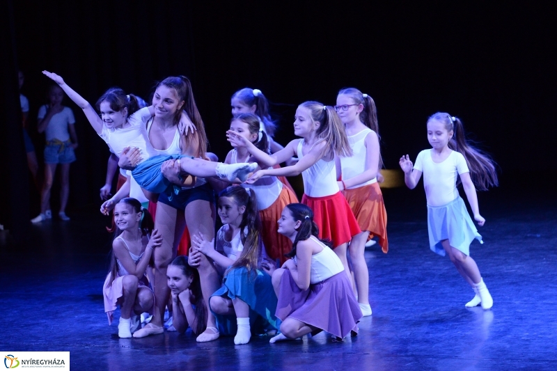 Az Állatbarát Alapítvány javára táncoltak - fotó Trifonov Éva