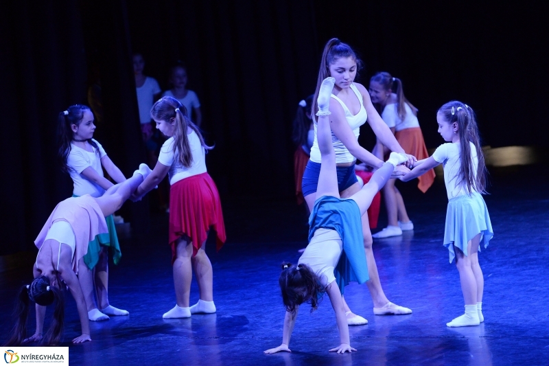 Az Állatbarát Alapítvány javára táncoltak - fotó Trifonov Éva