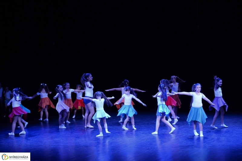 Az Állatbarát Alapítvány javára táncoltak - fotó Trifonov Éva