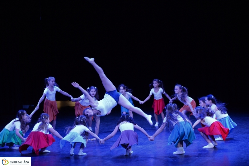 Az Állatbarát Alapítvány javára táncoltak - fotó Trifonov Éva