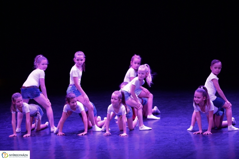 Az Állatbarát Alapítvány javára táncoltak - fotó Trifonov Éva