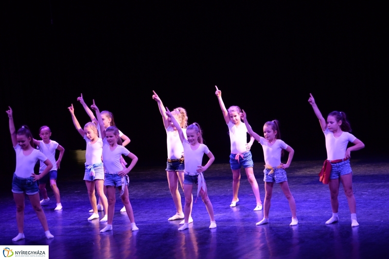 Az Állatbarát Alapítvány javára táncoltak - fotó Trifonov Éva