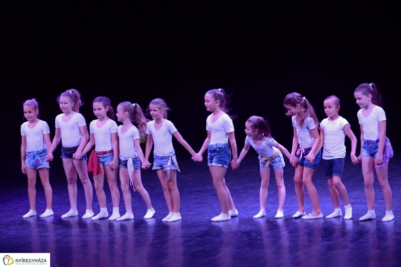 Az Állatbarát Alapítvány javára táncoltak - fotó Trifonov Éva