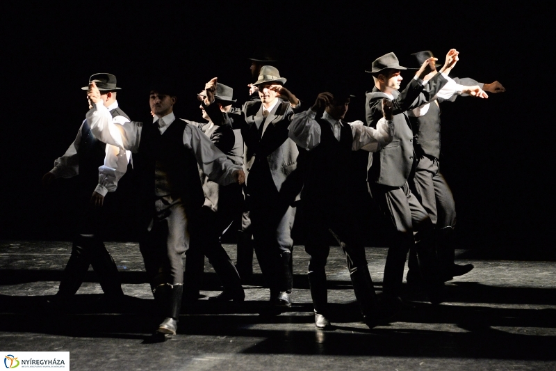 Az Állatbarát Alapítvány javára táncoltak - fotó Trifonov Éva