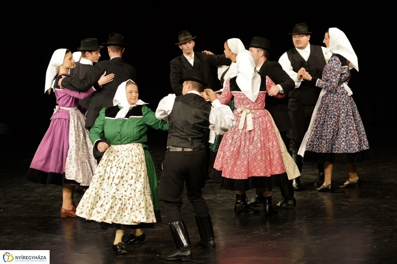 Az Állatbarát Alapítvány javára táncoltak - fotó Trifonov Éva