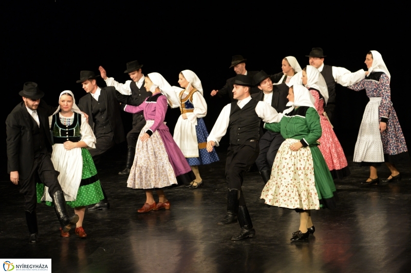 Az Állatbarát Alapítvány javára táncoltak - fotó Trifonov Éva