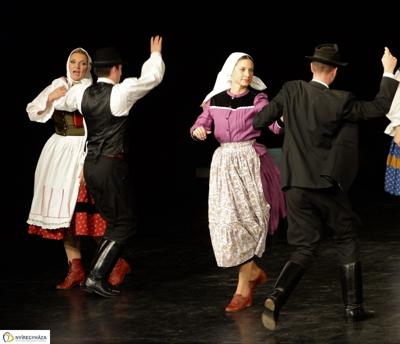 Az Állatbarát Alapítvány javára táncoltak - fotó Trifonov Éva