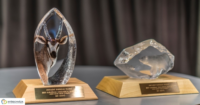 Európa legjobb állatkertje díj átadása - fotó Kohut Árpád