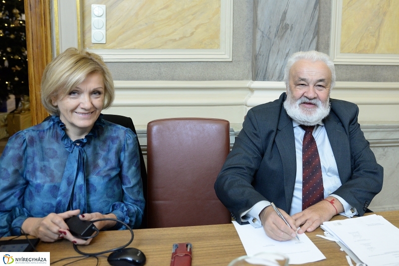 Városi Közgyűlés 2018-11-29 - fotó Trifonov Éva