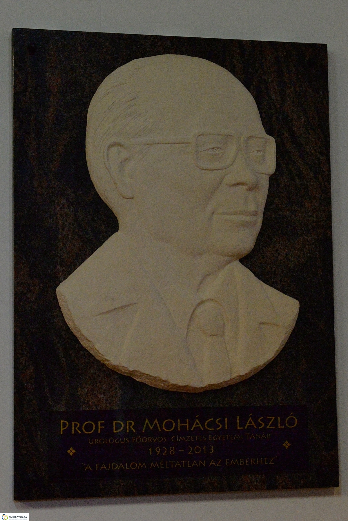 Dr. Mohácsi László emléktáblájának avatása - fotó Trifonov Éva