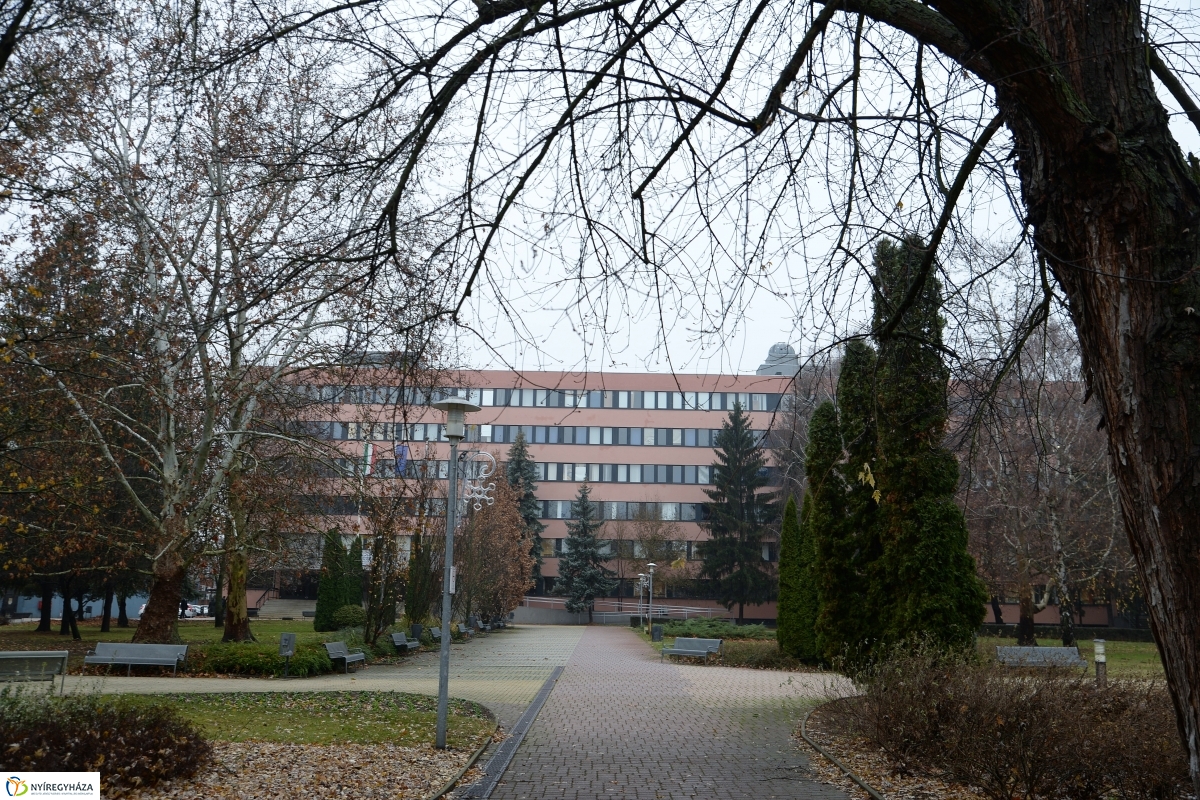 Egyetemi hallgatók köszöntése - fotó Trifonov Éva