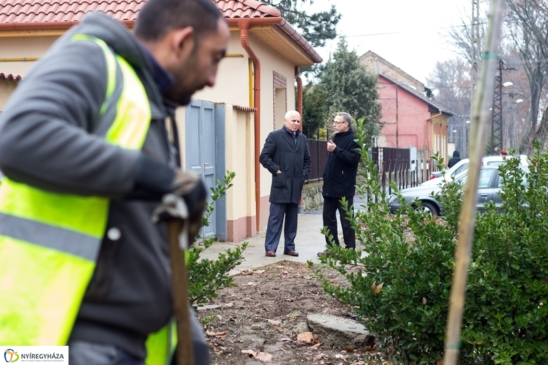 Fásítás a Honvéd utcán