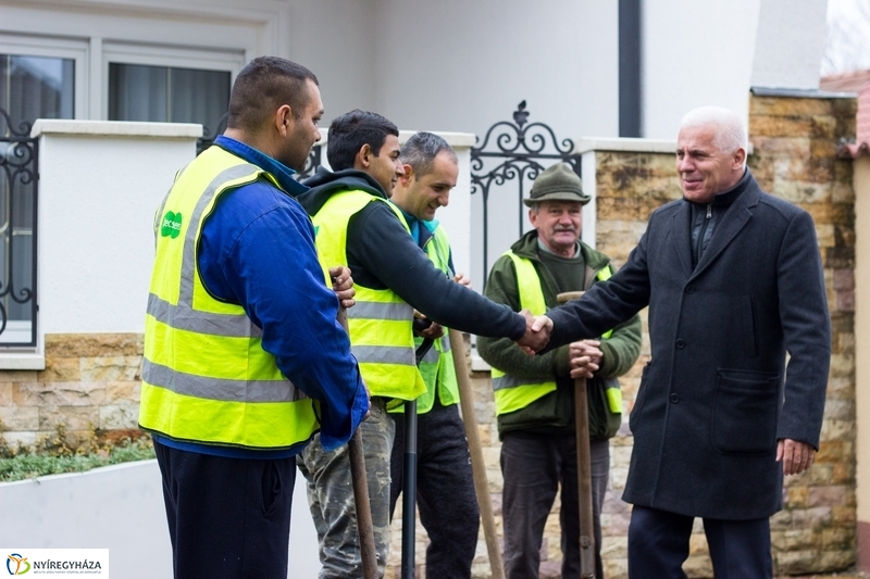 Fásítás a Honvéd utcán