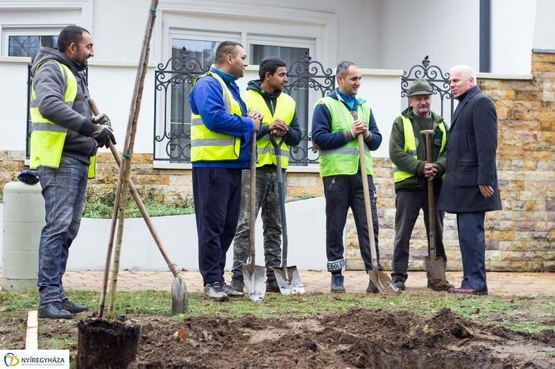 Fásítás a Honvéd utcán