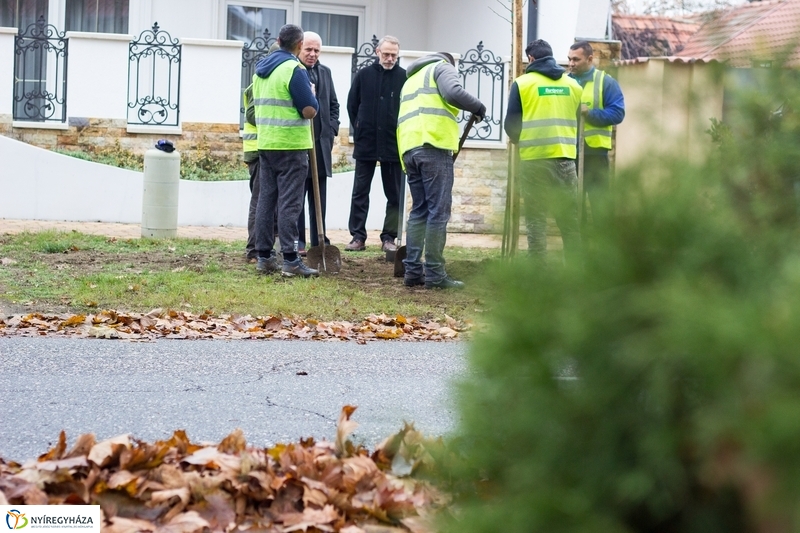 Fásítás a Honvéd utcán