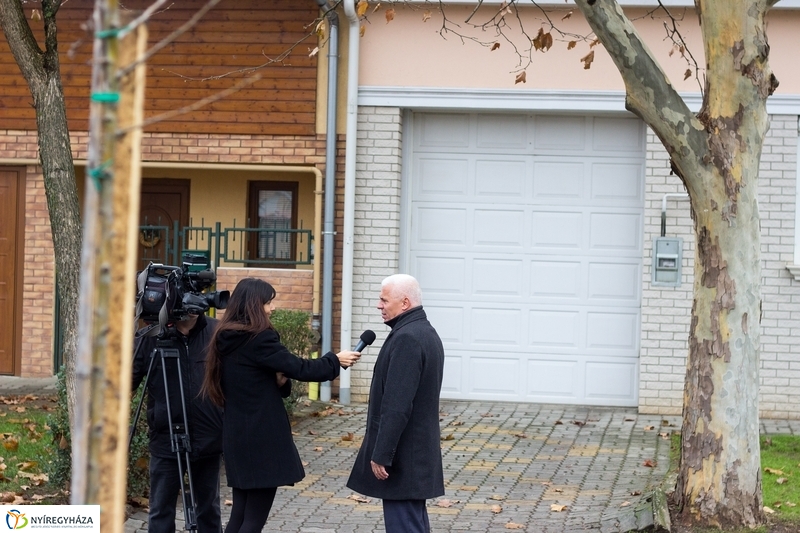 Fásítás a Honvéd utcán