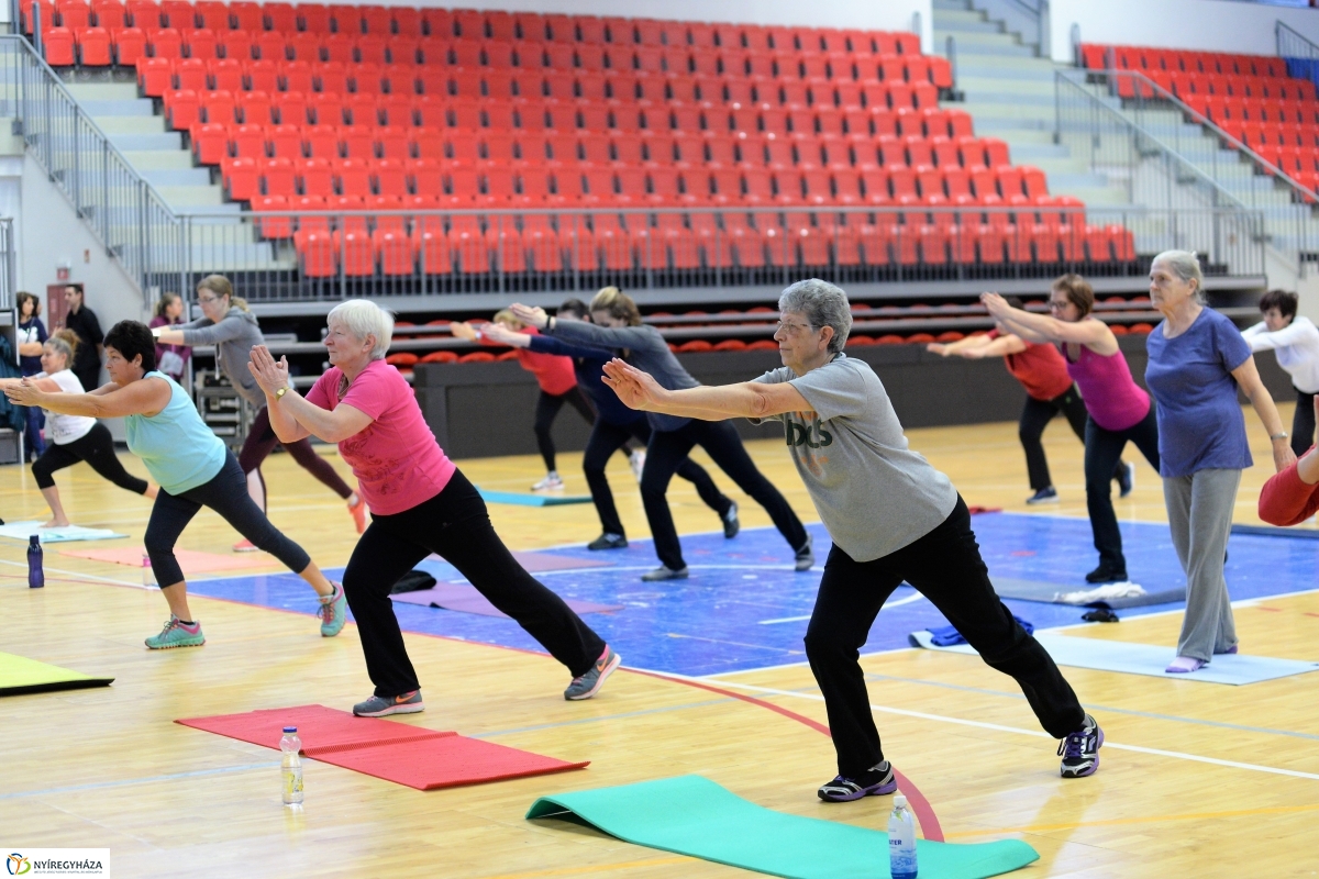 Fittkarácsony a Continental Arénában - fotó Trifonov Éva