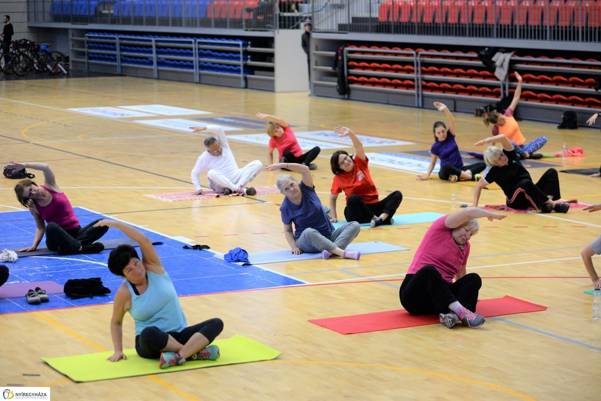 Fittkarácsony a Continental Arénában - fotó Trifonov Éva