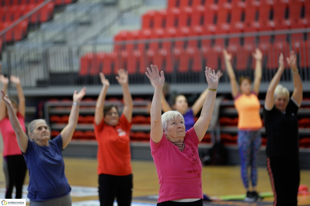 Fittkarácsony a Continental Arénában - fotó Trifonov Éva