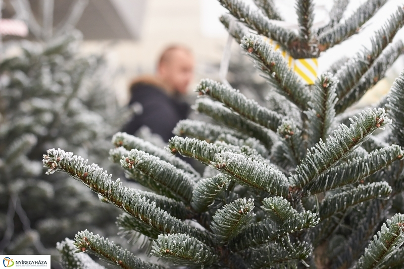 Karácsonyra készülve a Búza téri piacon